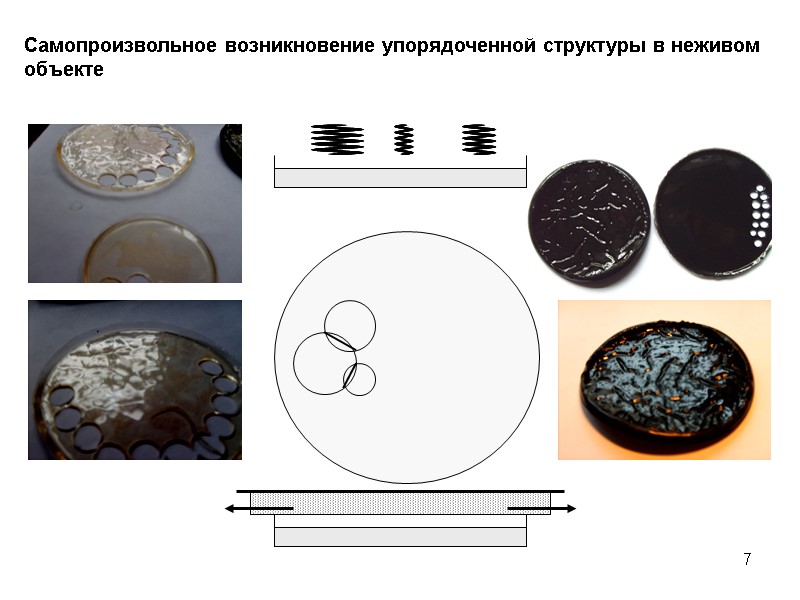 7 Самопроизвольное возникновение упорядоченной структуры в неживом объекте